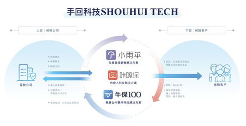 多重困境下的突圍 一家業(yè)務(wù)單一、屢遭波折的保險(xiǎn)科技中介，能否叩開(kāi)IPO之門(mén)？